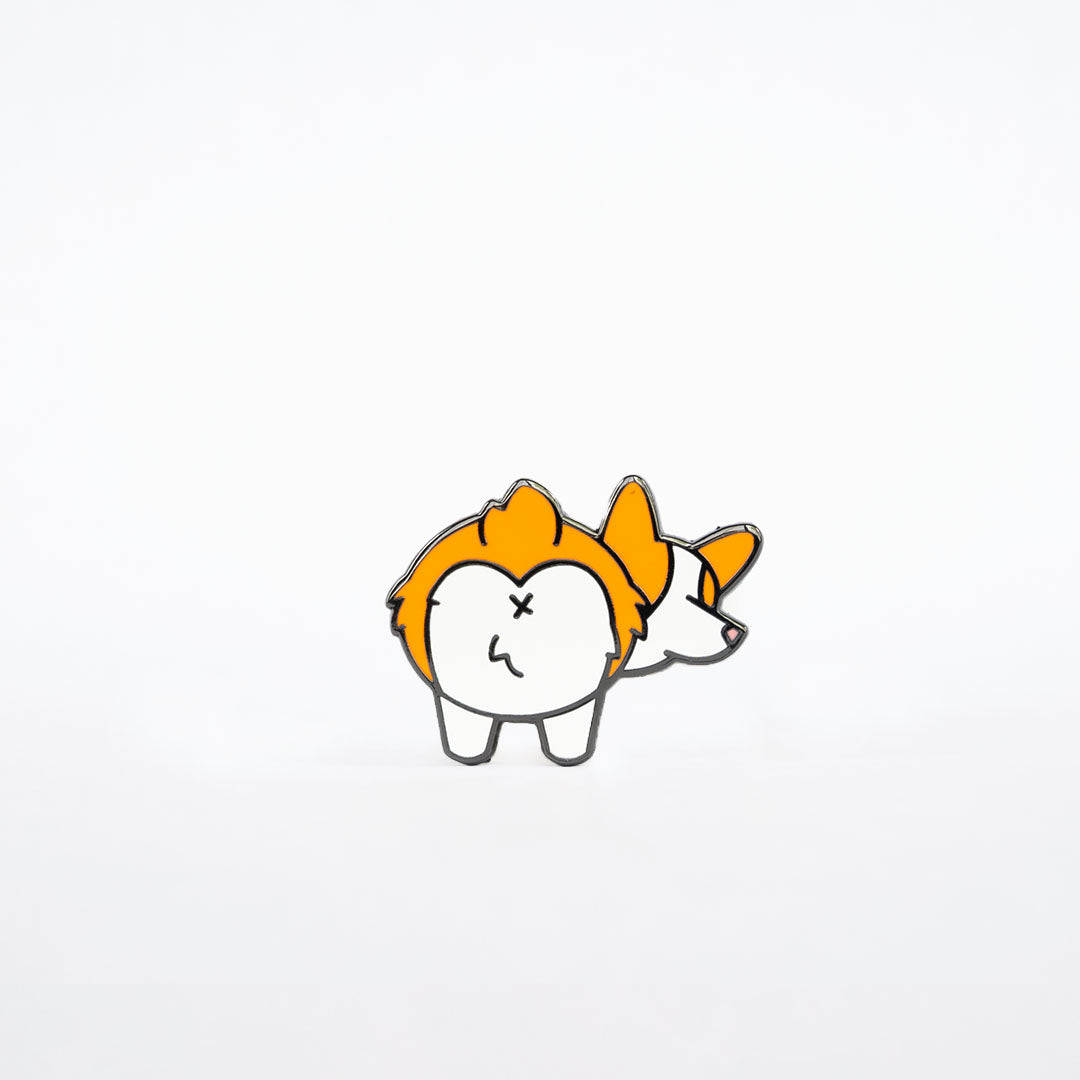 Pinholes | Corgi Dog