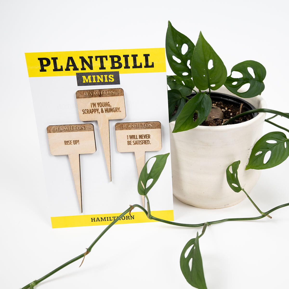 White and yellow card with "Plantbill Minis" across the top and "Hamilthorn" across the bottom. In the middle are three wooden plant/garden stakes with "Rise Up," "I'm young, scrappy, & hungry," and "I will never be satisfied" engraved on them paired with a swiss cheese plant in a white planter.