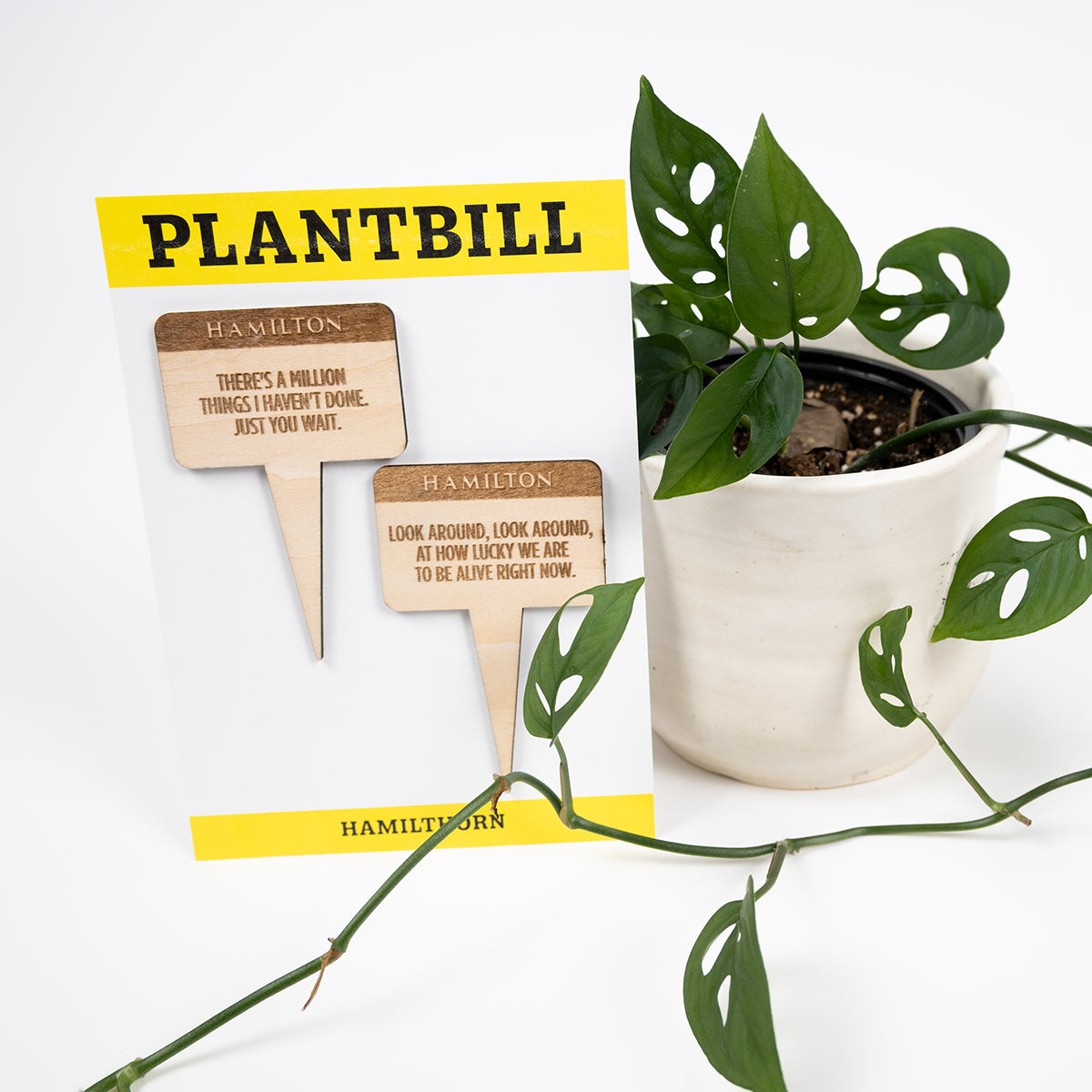White and yellow card with "Plantbill" across the top and "Hamilthorn" across the bottom. In the middle are two wooden plant/garden stakes with "There's a million things I haven't done. Just you wait.," and "Look around, look around, at how lucky we are to be alive right now" engraved on them paired with a swiss cheese plant in a white planter. 